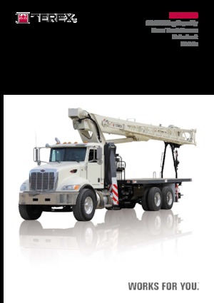 ट्रक क्रेन TEREX CRANES BT 28106
