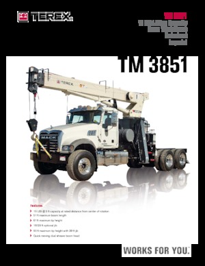 ट्रक क्रेन TEREX CRANES TM 3851