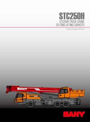 ट्रक-माउंटेड टेलीस्कोपिक क्रेन Sany STC250H