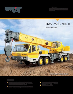 ट्रक-माउंटेड टेलीस्कोपिक क्रेन Til TMS 750B MK II