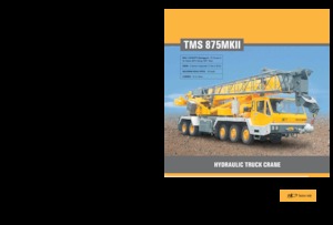 ट्रक-माउंटेड टेलीस्कोपिक क्रेन Til TMS 875 MK II