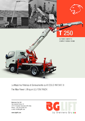 ट्रक-माउंटेड टेलीस्कोपिक क्रेन BG Lift T 250