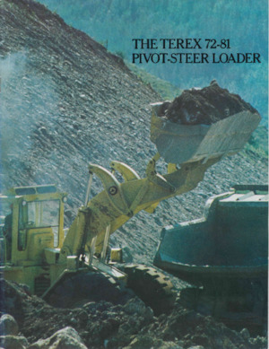 व्हील लोडर Terex 72-81