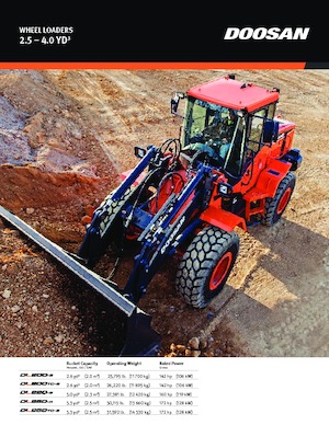 व्हील लोडर Doosan DL250 TC 5