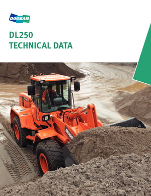 व्हील लोडर Doosan DL 250