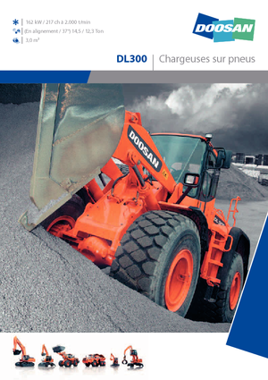 व्हील लोडर Doosan DL 300