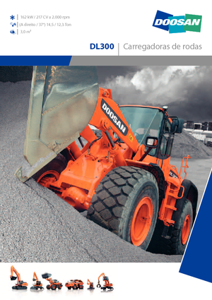 व्हील लोडर Doosan DL 300