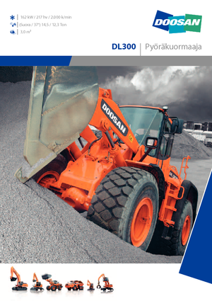 व्हील लोडर Doosan DL 300