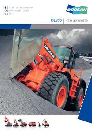 व्हील लोडर Doosan DL 300