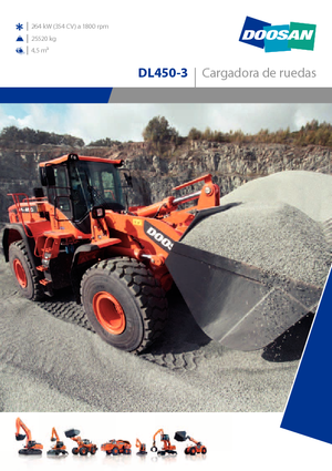 व्हील लोडर Doosan DL450-3