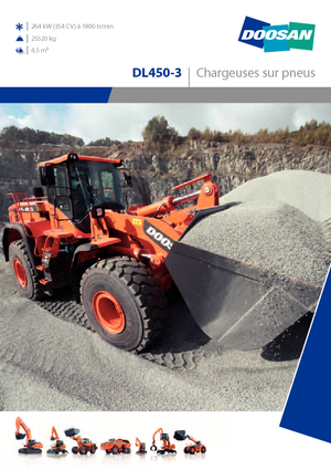 व्हील लोडर Doosan DL450-3