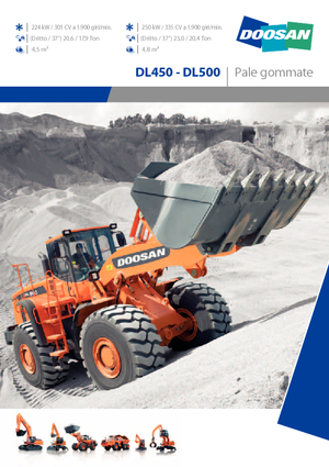 व्हील लोडर Doosan DL 450