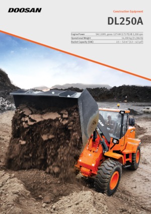 व्हील लोडर Doosan DL250A