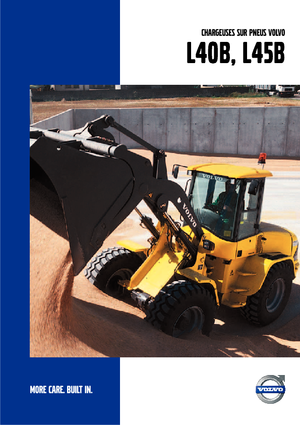 व्हील लोडर Volvo L45B TPS
