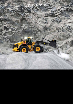 व्हील लोडर Volvo L180 