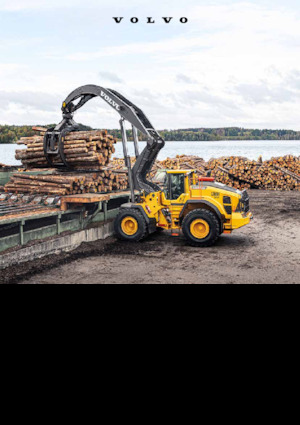 व्हील लोडर Volvo L200H High Lift 