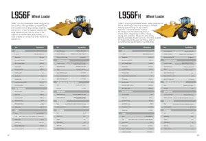 व्हील लोडर SDLG L958F