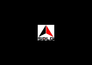 व्हील लोडर SDLG LG952N 