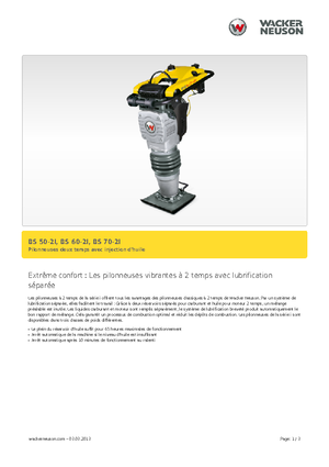 गैसोलीन और डीजल रैमर Wacker BS 60-2i 11
