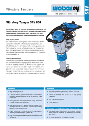 गैसोलीन और डीजल रैमर weber mt SRV 650