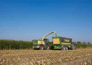 2WD फोरेज हार्वेस्टर Krone BiG X 630