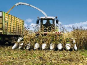 2WD फोरेज हार्वेस्टर Claas Jaguar 890