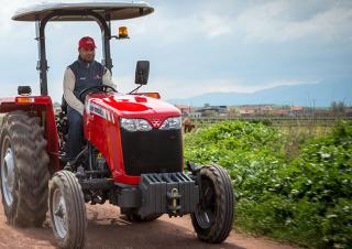 2WD ट्रैक्टर Massey Ferguson MF 2620 Xtra