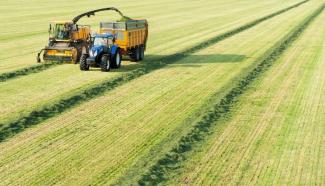 4WD फोरेज हार्वेस्टर New Holland FR 500
