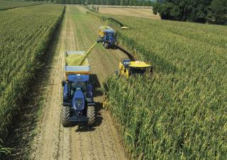 4WD फोरेज हार्वेस्टर New Holland FR 780