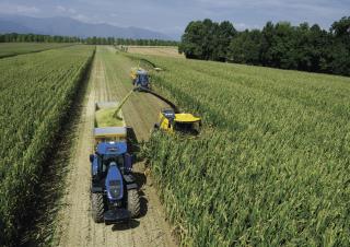 4WD फोरेज हार्वेस्टर New Holland FR 780