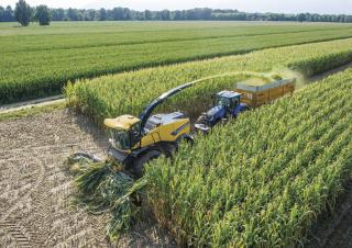 4WD फोरेज हार्वेस्टर New Holland FR 780