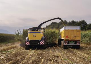 4WD फोरेज हार्वेस्टर New Holland FR 780