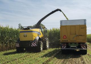 4WD फोरेज हार्वेस्टर New Holland FR 780
