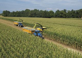4WD फोरेज हार्वेस्टर New Holland FR 780