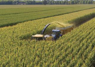 4WD फोरेज हार्वेस्टर New Holland FR 780