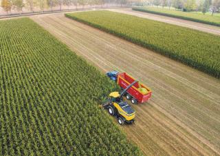 4WD फोरेज हार्वेस्टर New Holland FR 850