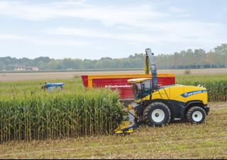 4WD फोरेज हार्वेस्टर New Holland FR 850