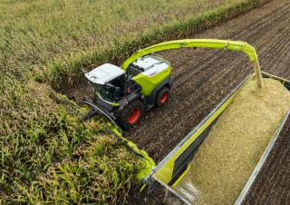 4WD फोरेज हार्वेस्टर Claas Jaguar 1200