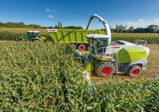 4WD फोरेज हार्वेस्टर Claas Jaguar 860