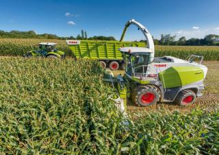 4WD फोरेज हार्वेस्टर Claas Jaguar 870