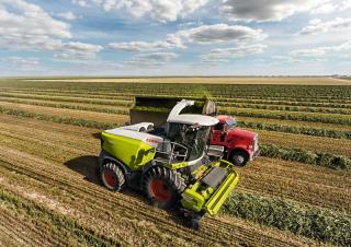4WD फोरेज हार्वेस्टर Claas Jaguar 950