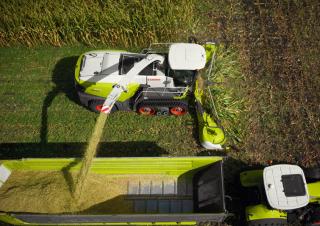 4WD फोरेज हार्वेस्टर Claas Jaguar 990 Terra Trac