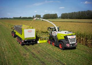 4WD फोरेज हार्वेस्टर Claas Jaguar 990 Terra Trac