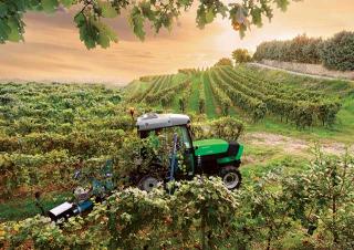 4WD ट्रैक्टर DEUTZ-FAHR Agroplus F 420 Ecoline