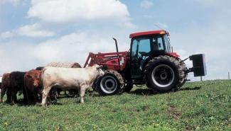 4WD ट्रैक्टर Case IH Farmall 65 C Basis