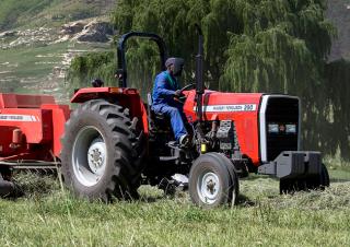 4WD ट्रैक्टर Massey Ferguson MF 290 Xtra
