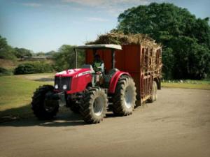 4WD ट्रैक्टर Massey Ferguson MF 5455-4 Lader