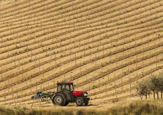 4WD ट्रैक्टर Case IH Quantum 110 CL Rops