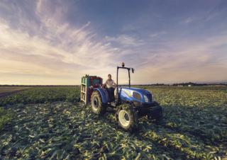 4WD ट्रैक्टर New Holland TD4.90 F