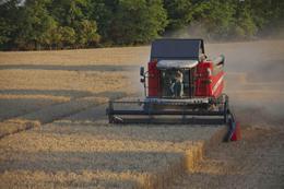 कंबाइन हार्वेस्टर Massey Ferguson Activa 7345 S